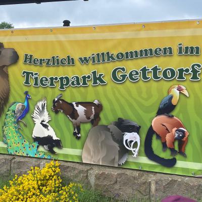 Klasse 2c im Tierpark Gettorf, 31.05.2024