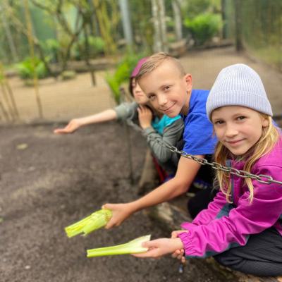Klasse 2c im Tierpark Gettorf, 31.05.2024