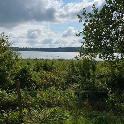 Klasse 4d in Haithabu, 30.08.2021