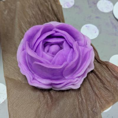 Watteblumen in der 3d, 20.03.2025