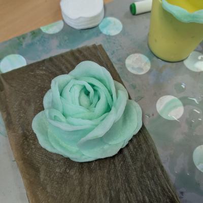 Watteblumen in der 3d, 20.03.2025