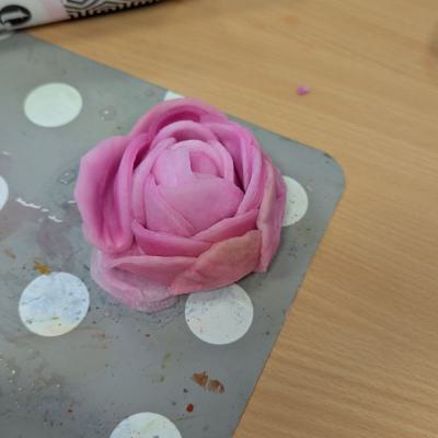 Watteblumen in der 3d, 20.03.2025