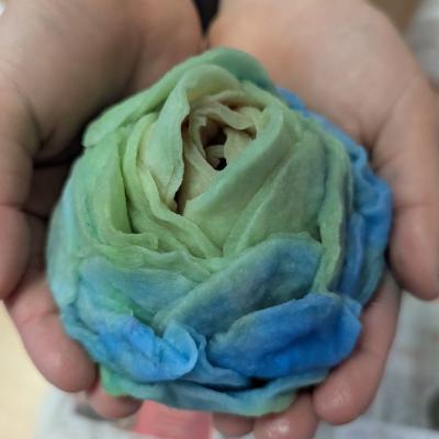 Watteblumen in der 3d, 20.03.2025