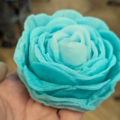 Watteblumen in der 3d, 20.03.2025