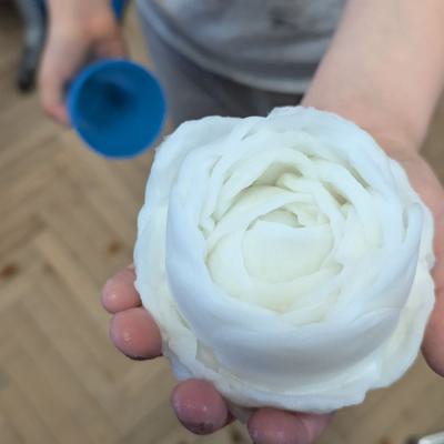Watteblumen in der 3d, 20.03.2025
