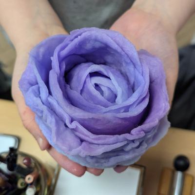 Watteblumen in der 3d, 20.03.2025