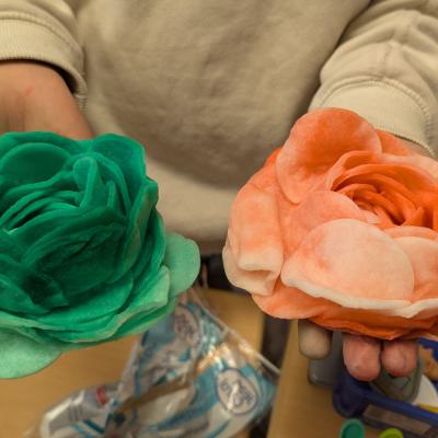 Watteblumen in der 3d, 20.03.2025