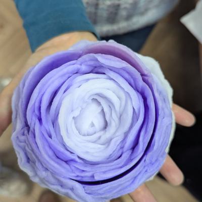 Watteblumen in der 3d, 20.03.2025