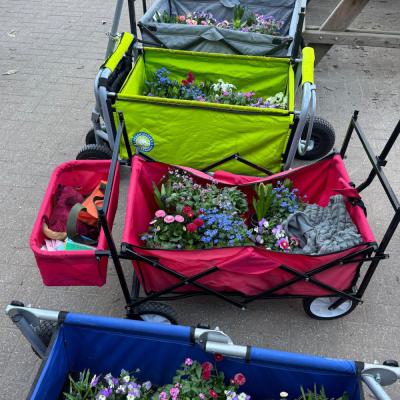Frühlingserwachen, Klasse 2b, März 2025