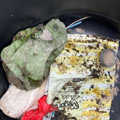 Coastal Cleanup, 19.09.2025