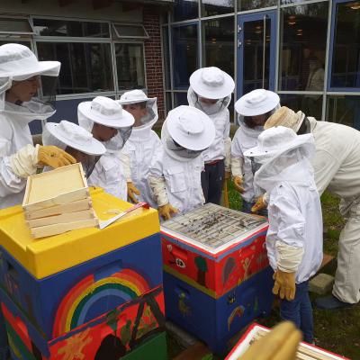 Erste Angebotsstunde mit den Bienen, 02.05.2019