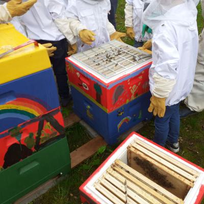 Erste Angebotsstunde mit den Bienen, 02.05.2019