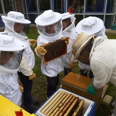 Die Kinder kontrollieren die Bienen, 02.05.2019