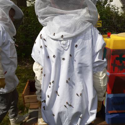 Bei Bienen sehr beliebter Jungimker von hinten, 09.05.2019