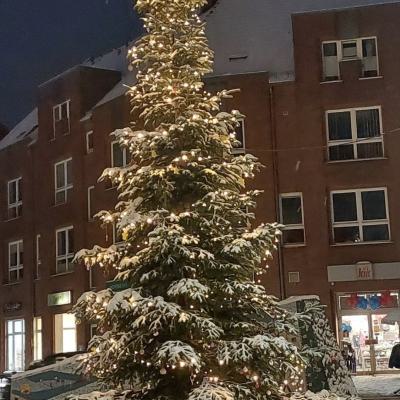 Weihnachtsbaum auf dem Leuchtturmplatz, 27.11.2023